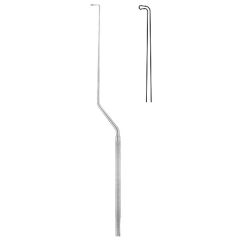 Nerve hooks