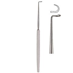 Bose hook