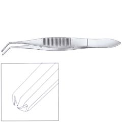 Troutman forceps
