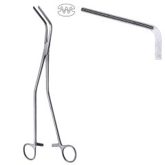 Hayes forceps
