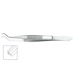 Dastoor forceps