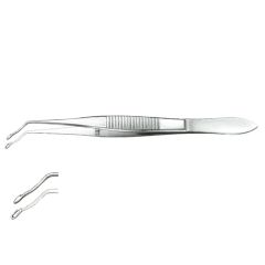 Arruga forceps